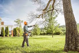 Best Tree Risk Assessment  in Leland Grove, IL